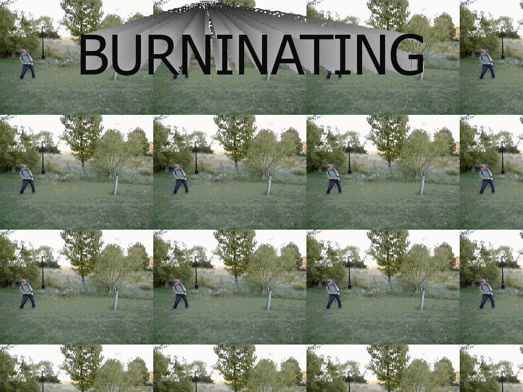 burninatingflamethrower