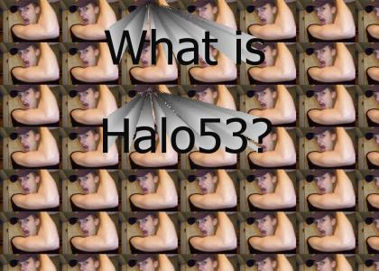 What is Halo53?