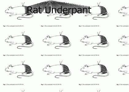 Rat Underpant
