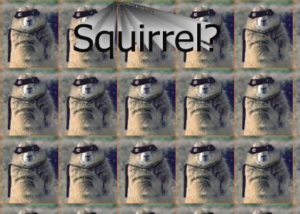 Squirrel?