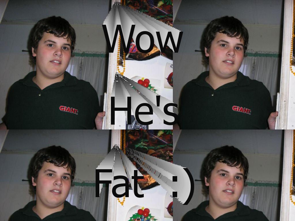 thisfatkid