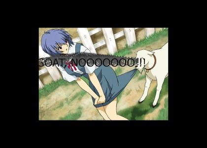 Rei gets molested by a goat.