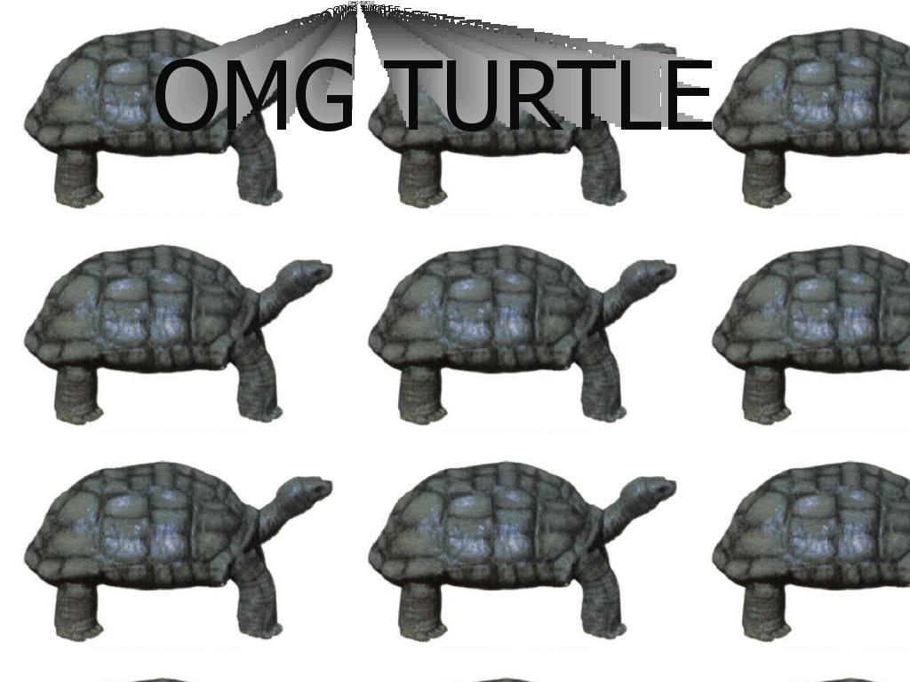 pvpturtle