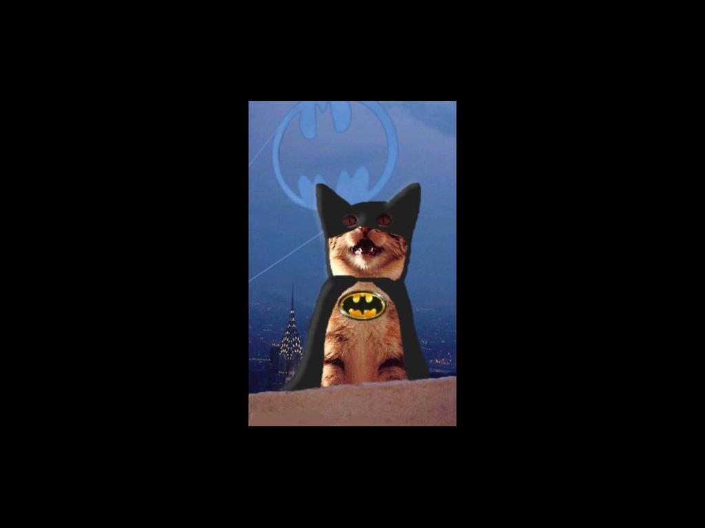 batcatuealu