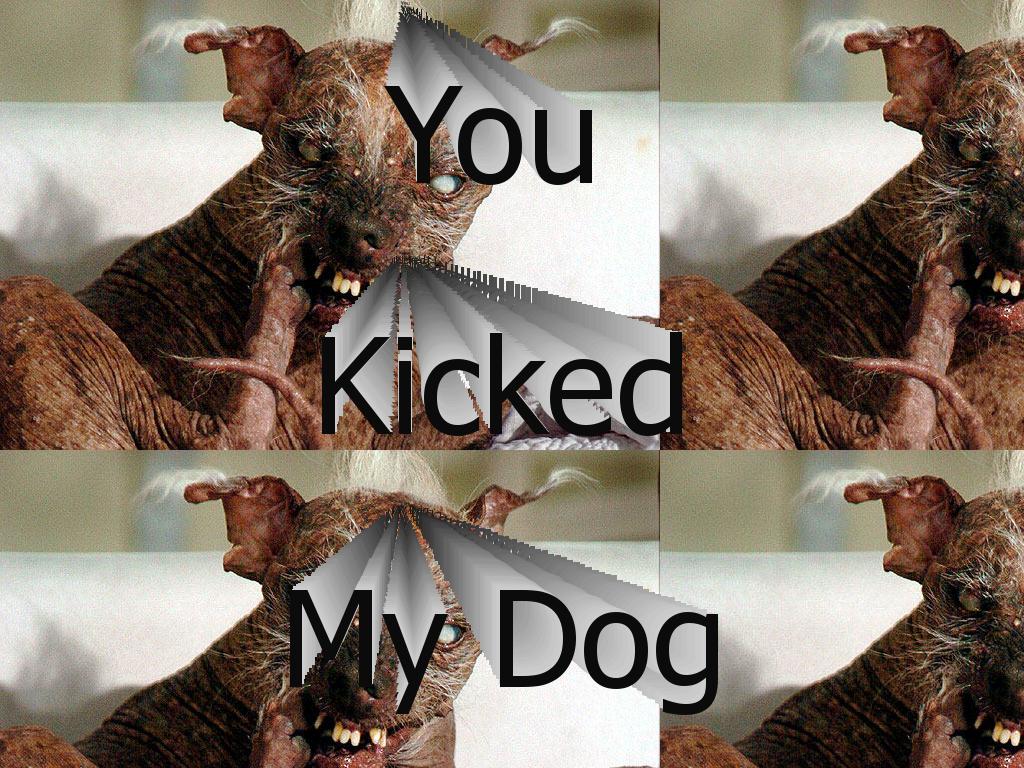 kickedmydoggie
