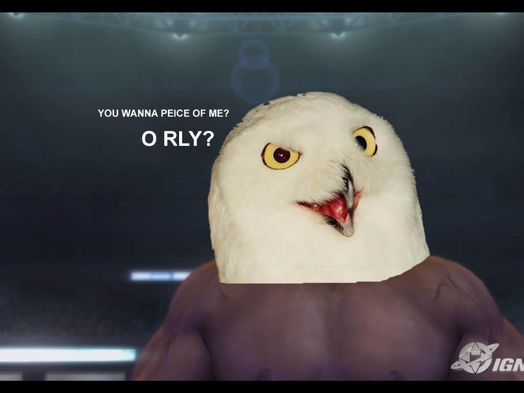 Orlywrestling