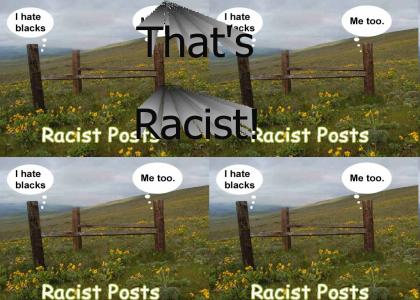 Racist Posts?