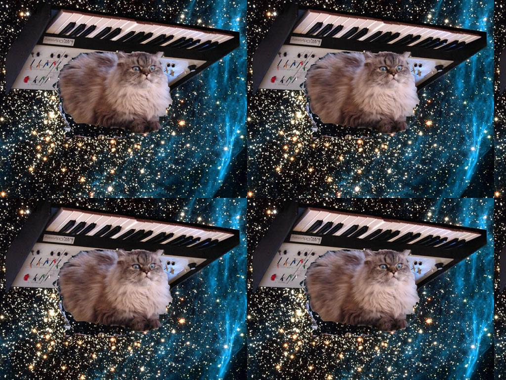 keyboardoncatinspace