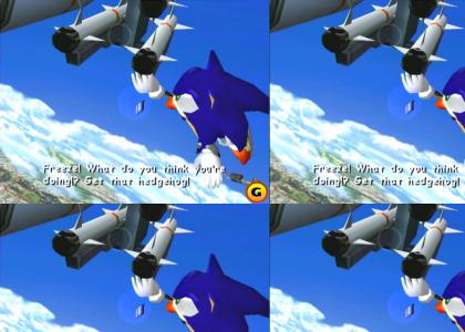 Sonic gives no advice.