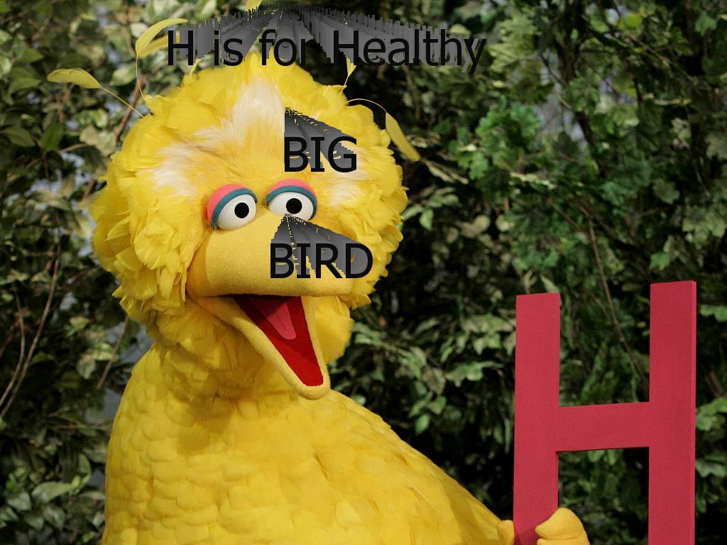 BIGbadBIRD