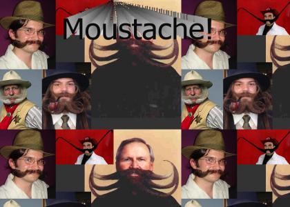 Moustache Moustache Moustache