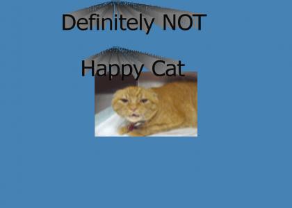 NOT Happy Cat