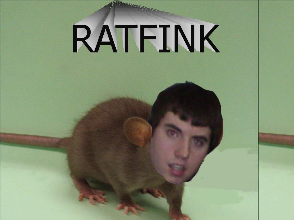 ratfink