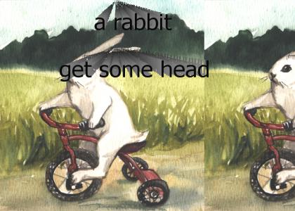 rabbit get some head