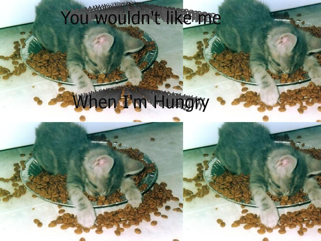 hungrykitty