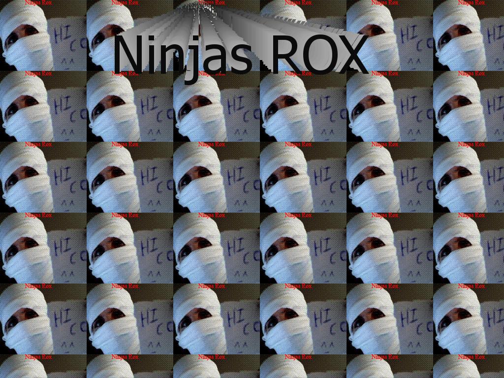 ninjasrox
