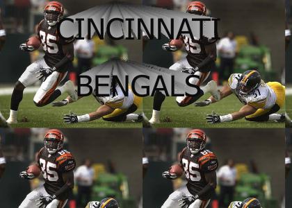 CINCINNATI BENGALS