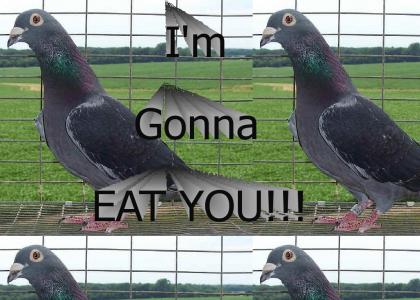 Smelly Pigeon