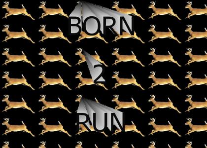 BORN2RUN