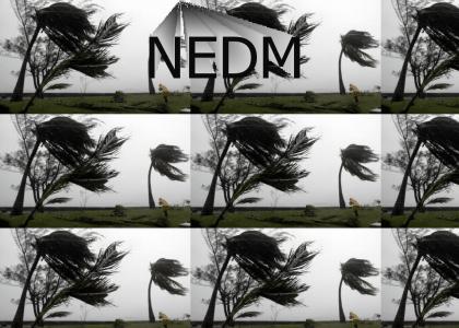 NEDM: Happy Hurricane