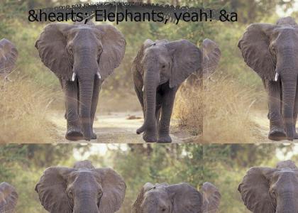 Oh, elephants, yeah.