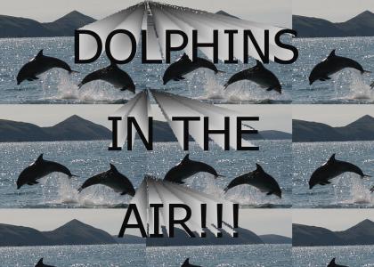 Dolphins in the AIR!