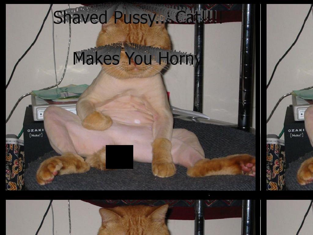 Shaved-Pussy
