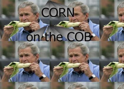 Bush CORN on the COB