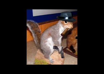 Gangsta Squirrel