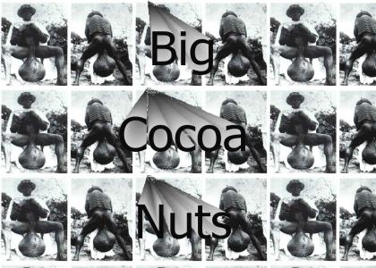 Cocoa Nuts