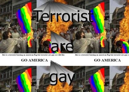 Gay Terrorist