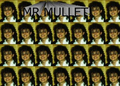 Mr. Mullet