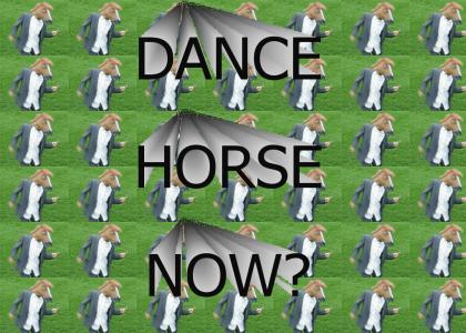 DANCE HORSE