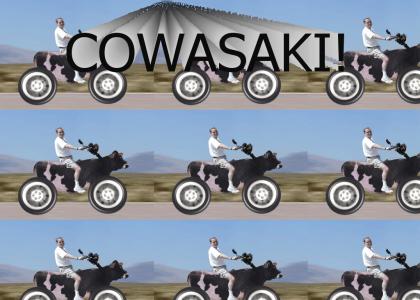 COWASAKI!