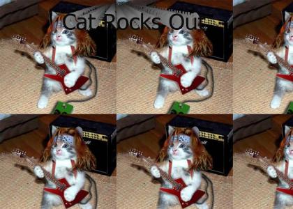 Cat Rocks Out