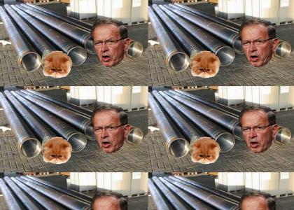 Pipe Cat is in Ted Stevens' Internet