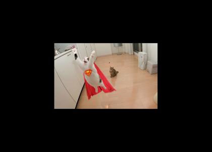 Super cat w/ logo & cape