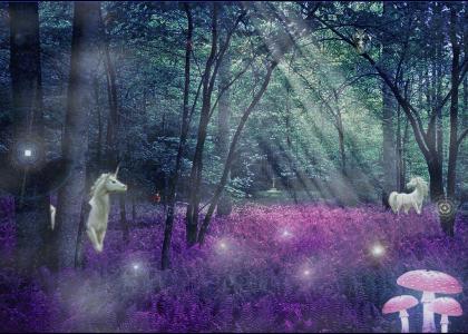 enchanted wood (now with more unicorn)