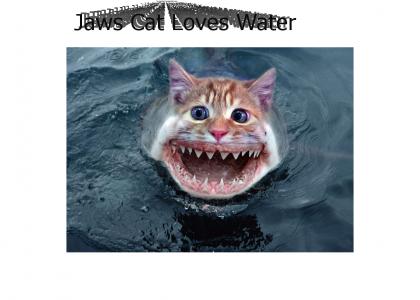 Jaws Cat