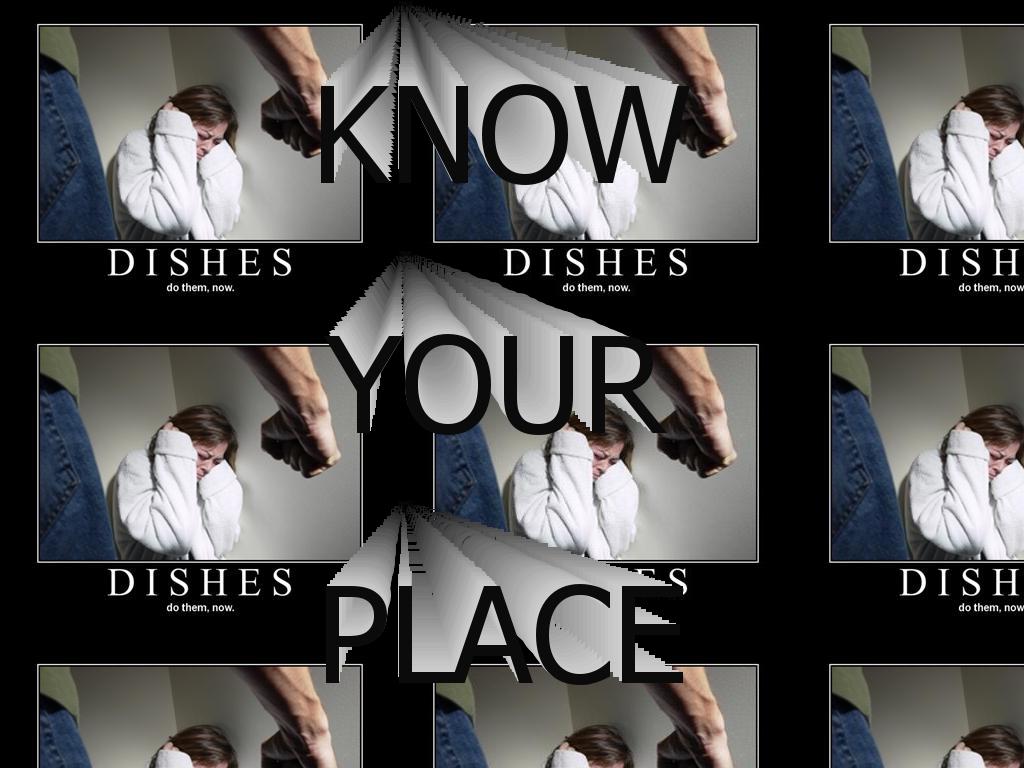 dishesbitch