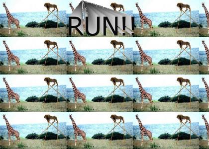 giraffe gets pwnd