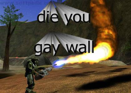 halo gay wall