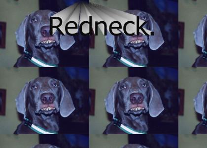 Redneck Dog.