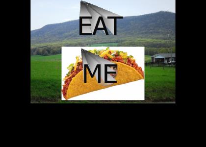 Tacos Rule