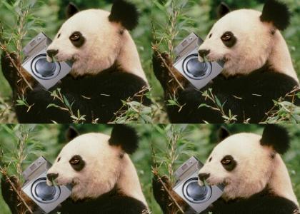 A panda ate my washing machine!