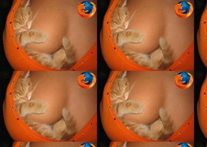 Firefox's Mascot!!!