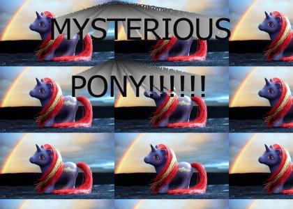 mysterious pony