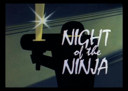 Night of The Ninja