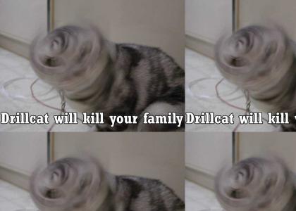 Drill CAT WILL KILL!!!!!