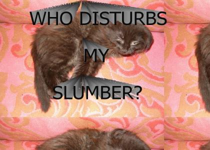 Who disturbs my slumber?